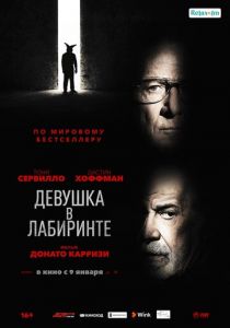 Девушка в лабиринте (2020) Девушка в лабиринте (2020)