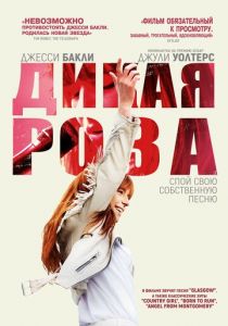 Дикая Роза (2020) Дикая Роза (2020)