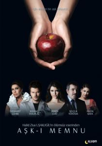 Запретная любовь (2010) Запретная любовь (2010)