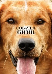 Собачья жизнь (2017) Собачья жизнь (2017)