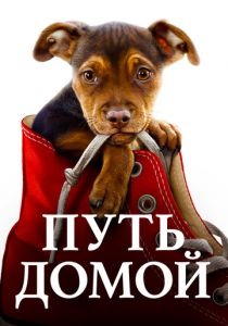 Путь домой (2019) Путь домой (2019)